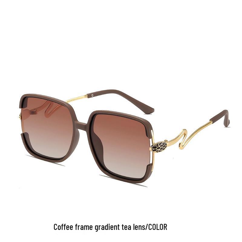 Women's Retro Polarized Sunglasses with Large Square Frame and Unique Snake-Shaped Temples - Simple and Fashionable.