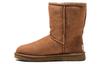 Classic Short Ii 'Chestnut' Women's 1016223-CHE