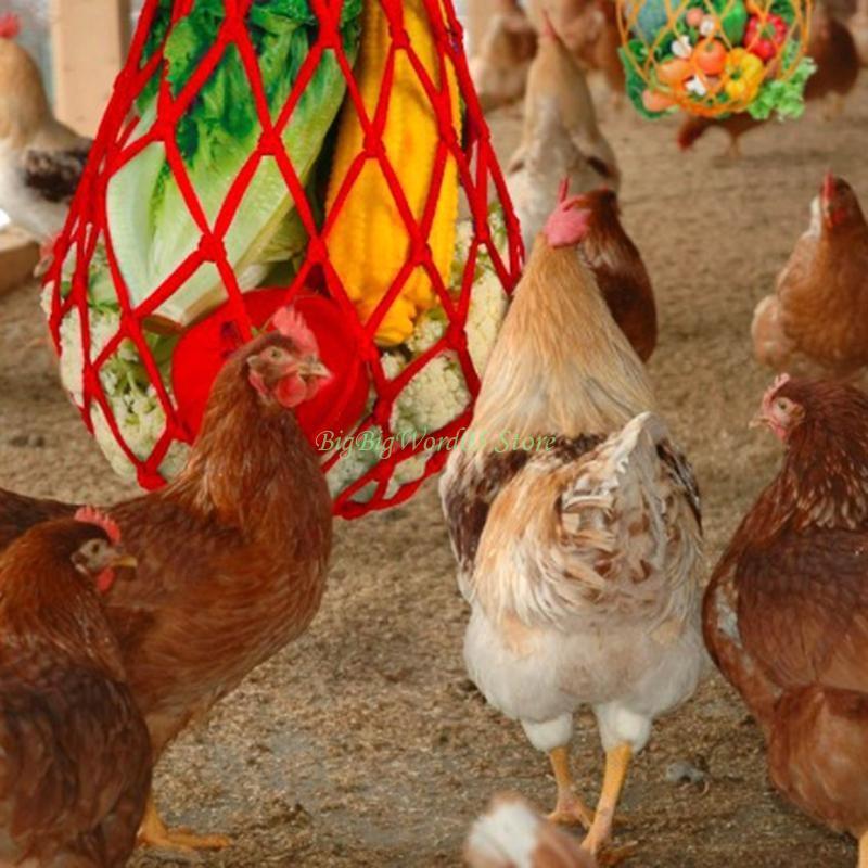 

24TE Chicken Veggies Fruit Food Holder Chicken Toy for Hens Pet Birds Vegetable Hanging Feeder Toys with Metal Hook 4-Piece CN