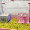 2pcs Breathable Hamster Hide House Curtain Comfortable Guinea Pig House Door Curtain  Ferret