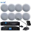 Weishu FD-390-A Conference & Campus Broadcast System (CN Version)