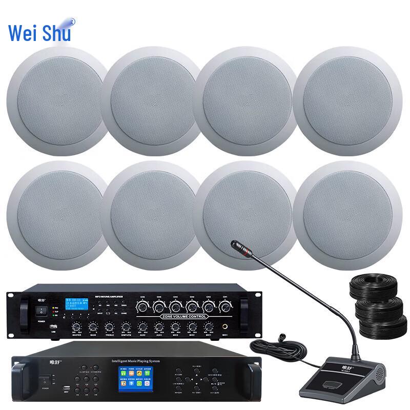 Weishu FD-390-A Conference & Campus Broadcast System (CN Version)