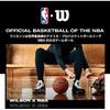 Wilson NBA Team Tribute Memphis Grizzlies Basketball Size 7 Outdoor 24.5cm Diameter