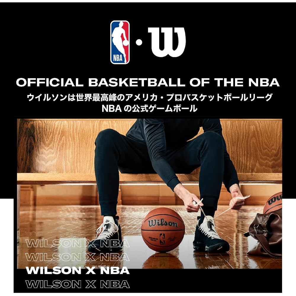 Wilson NBA Team Tribute Memphis Grizzlies Basketball Size 7 Outdoor 24.5cm Diameter