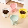Ceramic Cat Bowl Anti Spill Elevated Cat Food Dish Slanted Design Neck Protection Pet Feeding Bowl