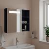 VidaXL Bathroom Mirror Cabinet with LED Grey 60x13x52 Cm, Vanity Unit with Mirror, Wall Cabinet with 357970