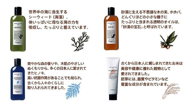 Lebel Natural Hair Treatment with RP Rice Protein 1600ml [BOOM Original Exclusive]