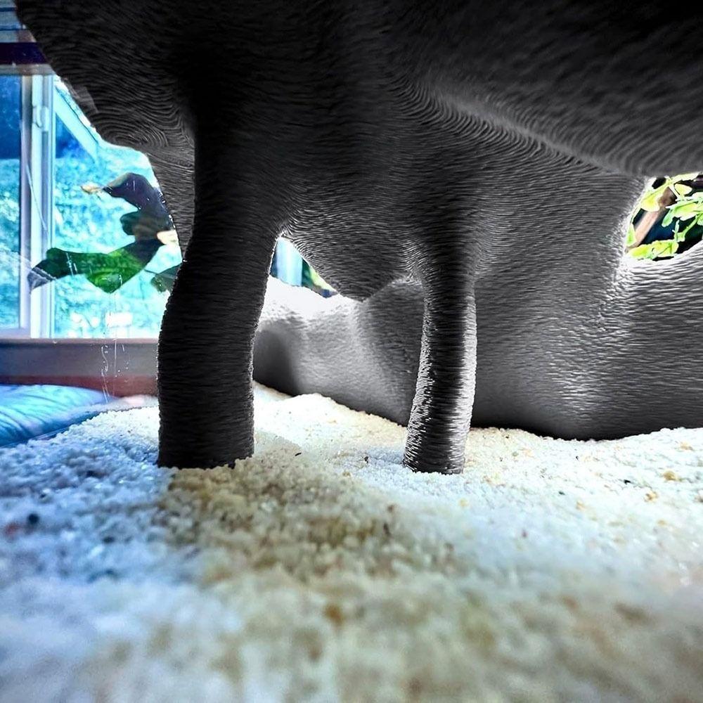 Textured Root Style Fish Hideout Faux Mangrove Root Tunnel Cave  for Fish Tank Decoration