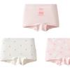 Balabala Girls' Cotton Antibacterial Boxer Briefs 3-Pack