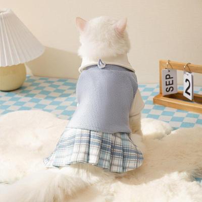 Korean Academy Wind Autumn Winter Warm Kitty Set Blue Cat Hairless Clothes Small Dog Pet Clothing