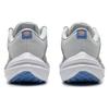 Nike Air Zoom Winflo 10 Road Running Shoes 'Light Smoke Grey' Women's Sneakers DV4023-007