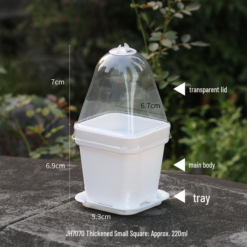 Thickened Black Square Succulent Pot - Breathable Plastic Planter for Seedlings and Lithops