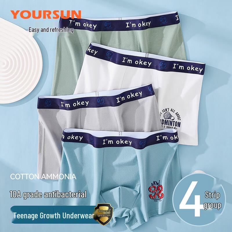 

Мужские боксеры-брифы Erosmile 10A из антибактериального чистого хлопка, 4 штуки XL (55-65kg)