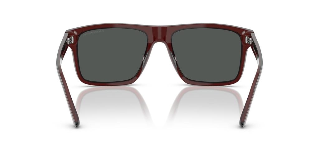 Sunglasses 0EA4232F TRANSPARENT BROWN 57 [Emporio Armani]