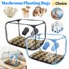 Still Air Box For Mushroom Planting Bag Mushroom Tent Propagation Stations Mushroom Grow Bags Horticulture Home Scientists Suppl