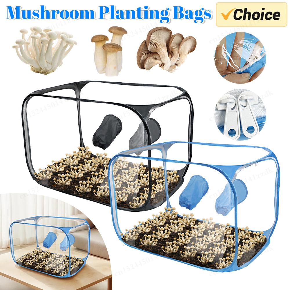 Still Air Box For Mushroom Planting Bag Mushroom Tent Propagation Stations Mushroom Grow Bags Horticulture Home Scientists Suppl
