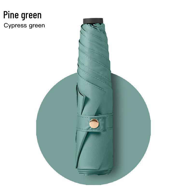 Wind-Resistant Auto-Fold Umbrella with UV Protection and Black Coating