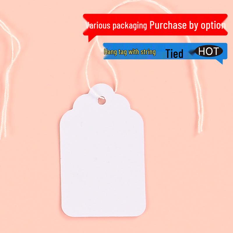 Color Adhesive Jewelry Hang Tags with String - Blank Paper Labels for Handwriting