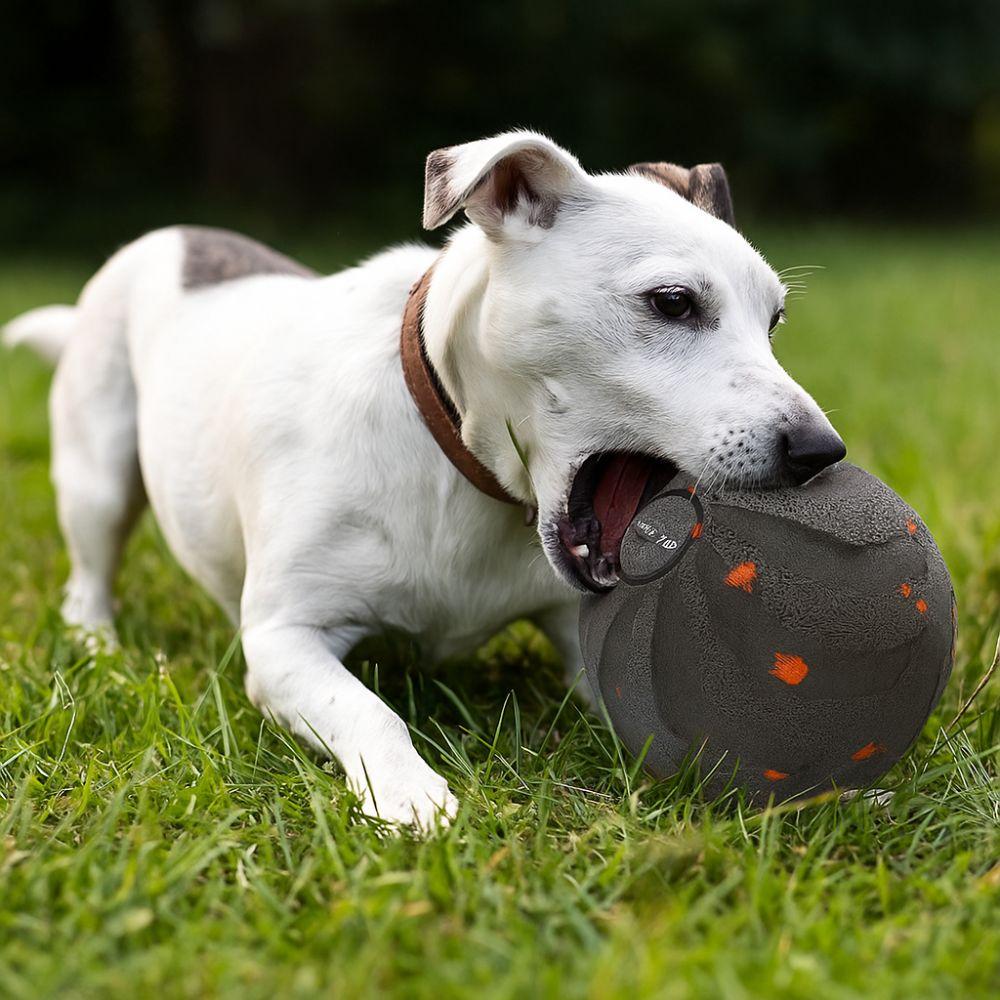 USB Rechargeable Smart Dog Toy Ball Bite Resistant Dog Bouncing Ball  Puppy Training