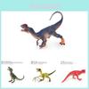 Realistic Jurassic Dinosaur Model Collection Pvc T-rex Raptor Forest Figurines For Kids