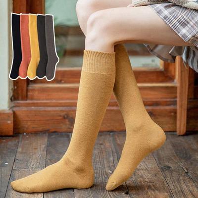 Women's Daily Basic Basic Fleece-lined Knee-high Socks