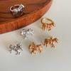 Bohemian Zebra Stripes Adjustable Ring & Earrings Set