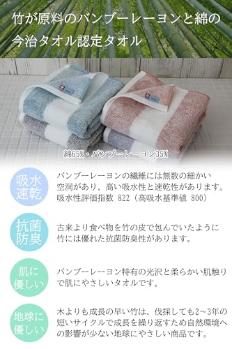 imaa Imabari Certified Bath Towel, 60cm x 120cm, Made in Japan, Antibacterial and Odor-Resistant, Cotton, Bamboo Rayon, Vacuum-Compressed, Blue-Green