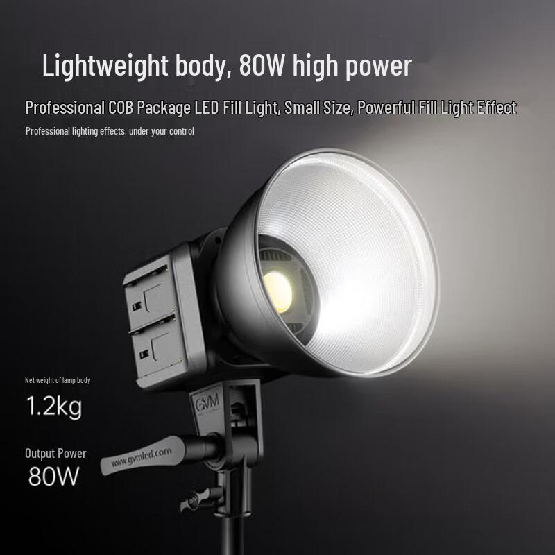 GVM 80W LED Portable Video Light