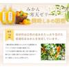 Miyamoto Orange Garden Jelly Mandarin Gift Ehime Product Agar 100g Pouch Assortment No Coloring Fragrance Domestic Household Use Fruit Jule Chemical