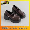 British Style Platform Thick Heel Single Shoes Spring and Summer New Fashion Versatile Skirt Mary Jane Single Shoes