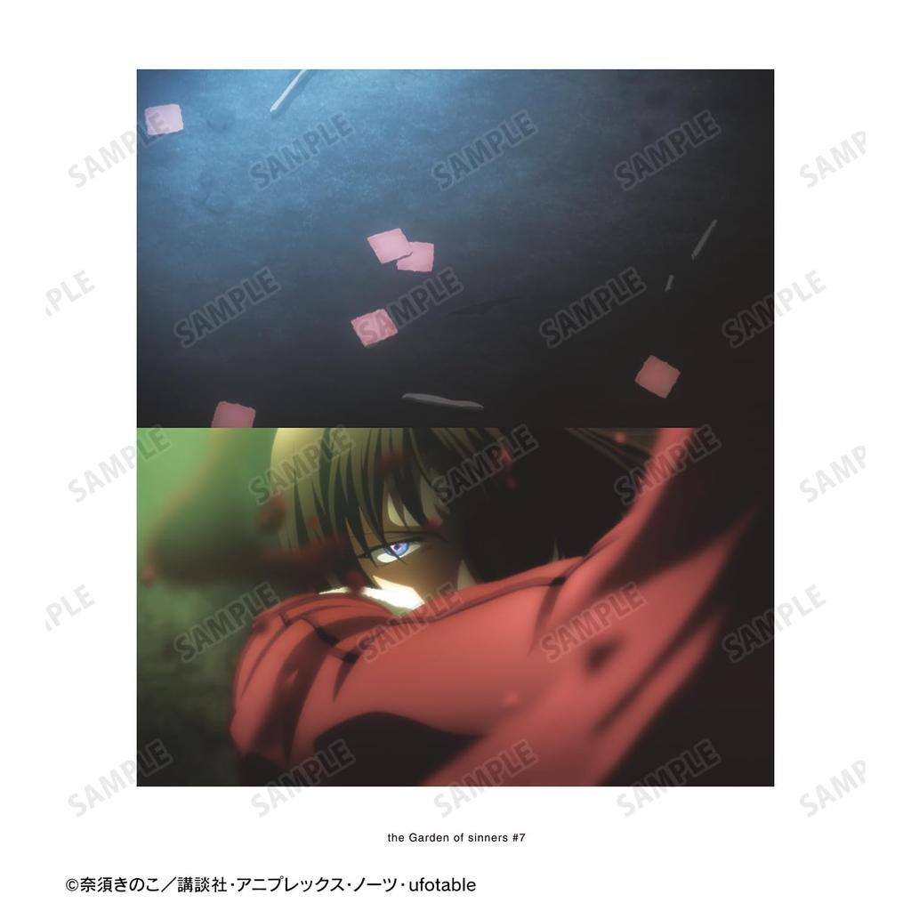 Kara no Kyoukai" The Movie: Murder Consideration [Later] Scene Back Print Hoodie, Men's, XS Size