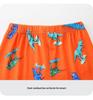 European & American Children's Casual Summer 2-Piece Home Wear Set: Fashion Shorts for Boys
