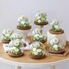 Teachers' Day Gift Eternal Flower Dandelion Glass Cover Rose Box Simulation Gypsy Star Bouquet Preserve Flowers