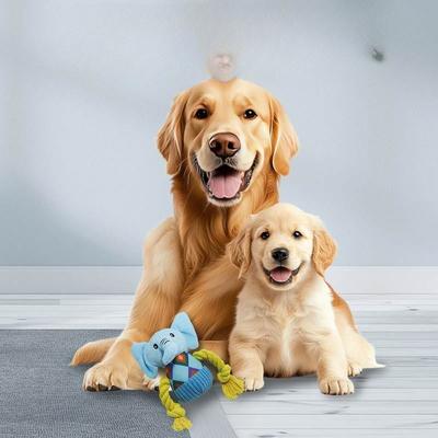Cani – Giocattoli per cani