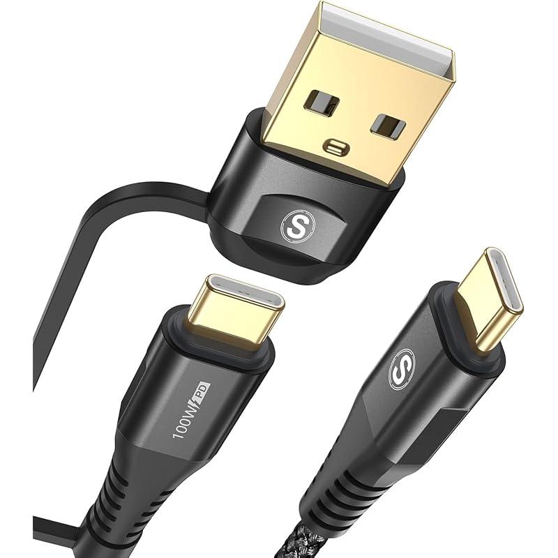 

AviBrex 2in1 USB Type C cable 3M, USB-A/USB-C to USB-C Cable [100W/5A PD& QC4.0 compatible Fast charging] type c charging cable iphone15/iPhone16