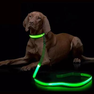 Perros – Collares y correas
