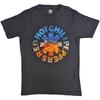 Red Hot Chili Peppers Unisex T-Shirt Californication Asterisk Black (XL)
