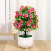 Plastic Artificial Plants Potted 6 Colors Home Garden Decor Rose Flower Plant Fake Flowers