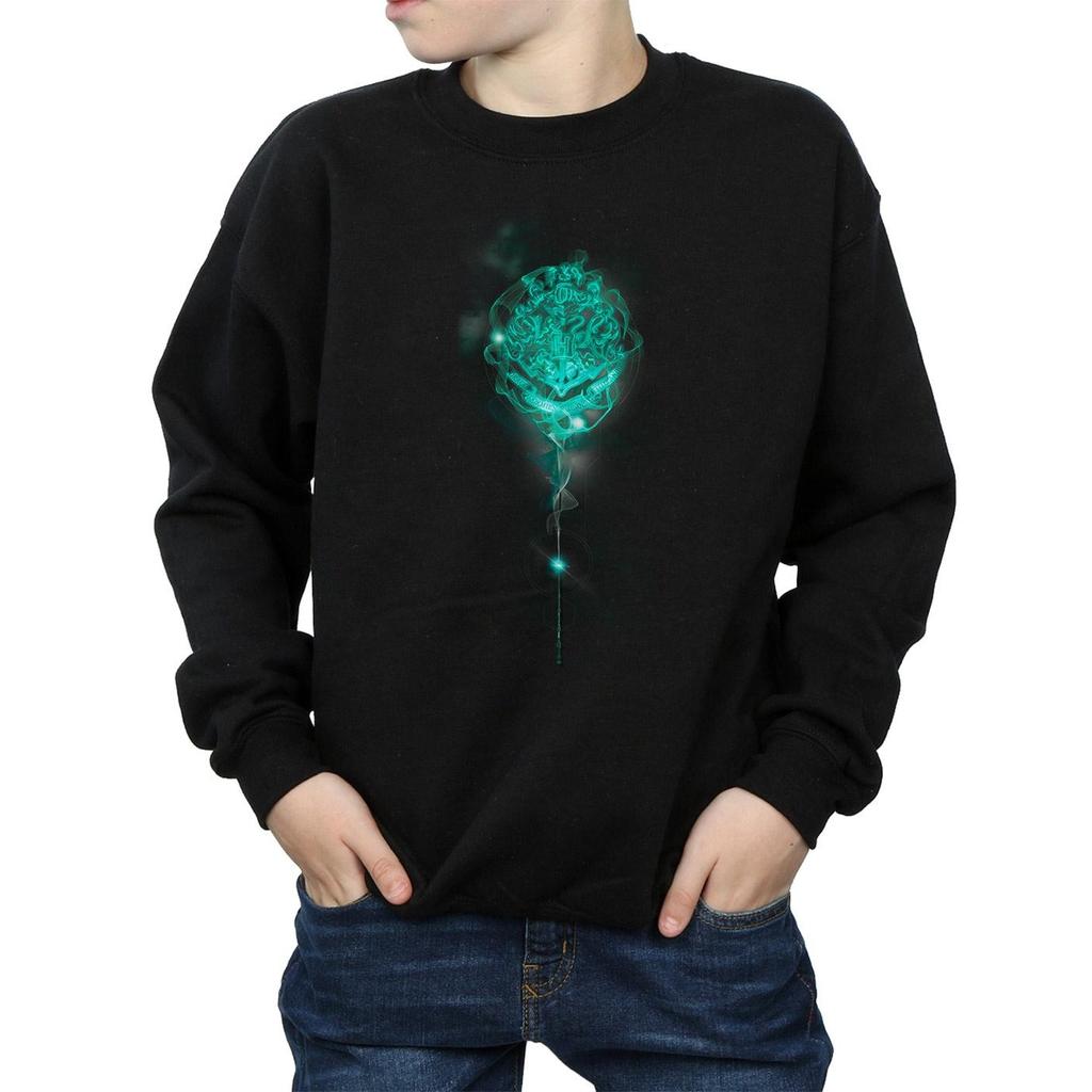 HARRY POTTER Jungen Sweatshirt mit Hogwarts-Wappen, Nebel