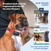 Petsafe Basic Bark Control Collar for Dogs
