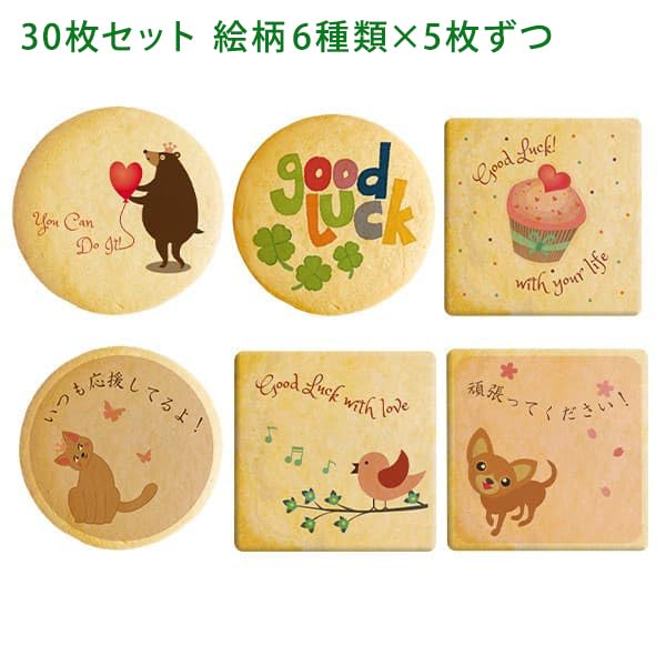 Sweets In the Sky Message Cookies That Convey Your Feelings of Support 30 Pieces Celebration Gift Order Now