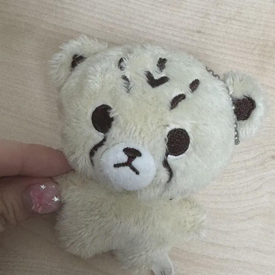 

Нкт Читари 10см