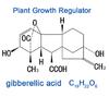 20ml Gibberellic Acid Liquid Garden Farm Backyard Plants Growing Necessary