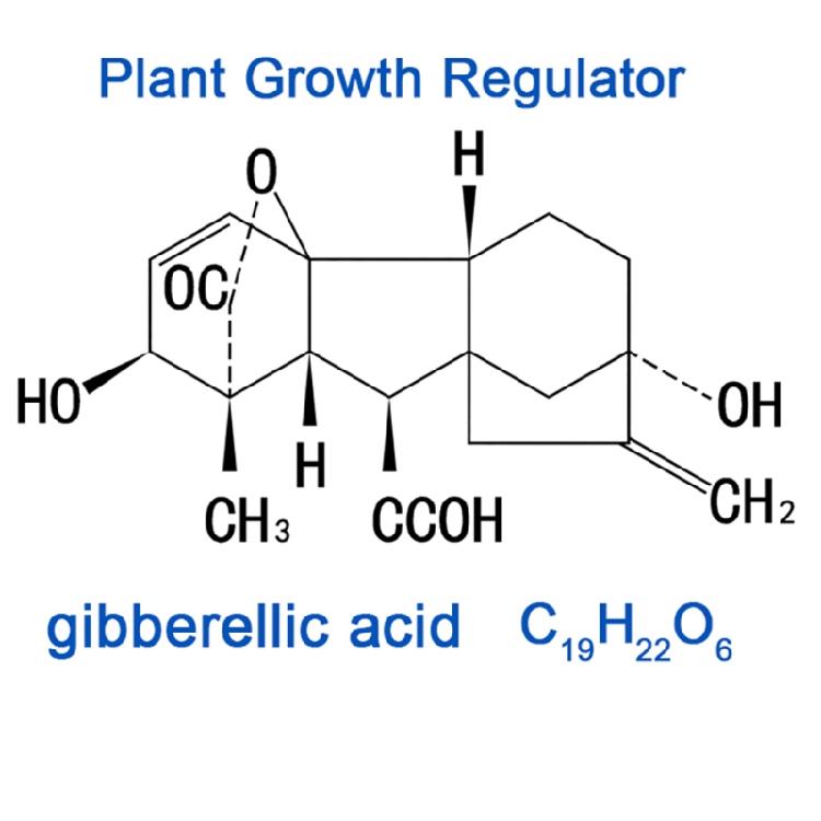 20ml Gibberellic Acid Liquid Garden Farm Backyard Plants Growing Necessary