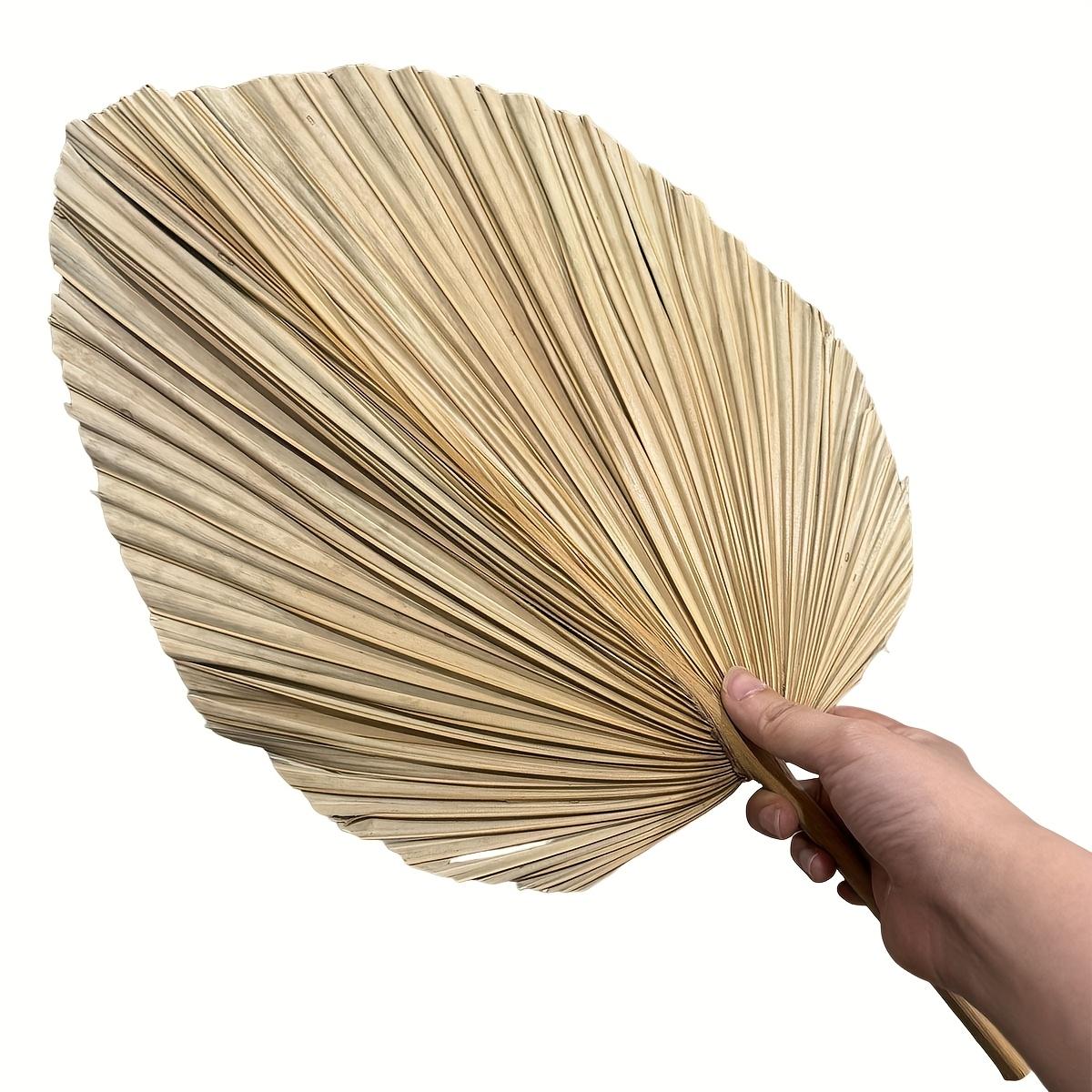 

Веер из тропических листьев в стиле бохо, с цветочными стеблями, подходит для ваз, больших свадебных украшений в стиле бохо, домашнего декора, юбилеев 1PCS