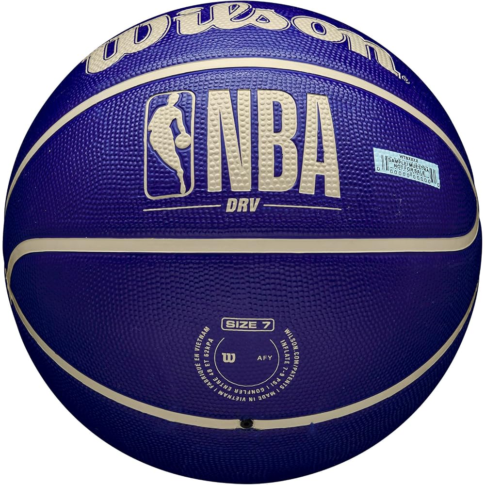 Wilson NBA DRV Drive Indigo Outdoor Basketball Size 5 WZ3016201XB5