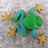 Realistic Frog Toy with Beads – Durable, Squeezable, and Perfect for Teaching Aid