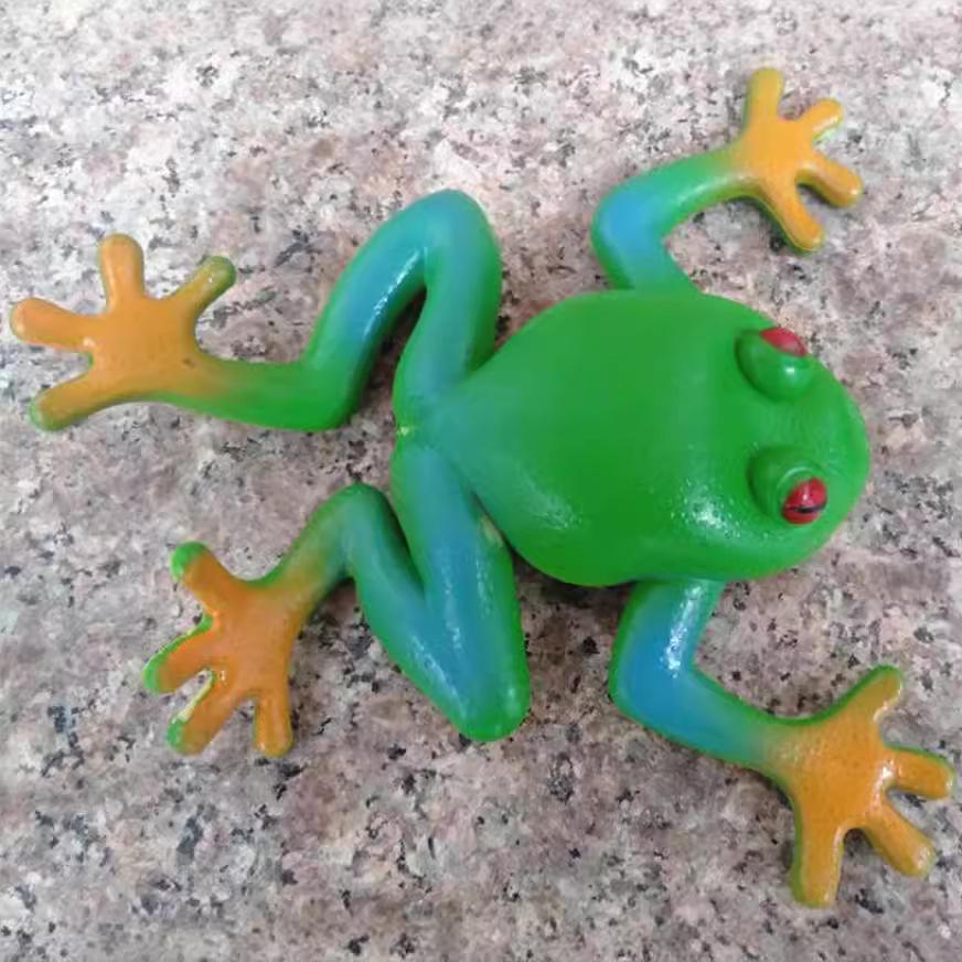 Realistic Frog Toy with Beads – Durable, Squeezable, and Perfect for Teaching Aid