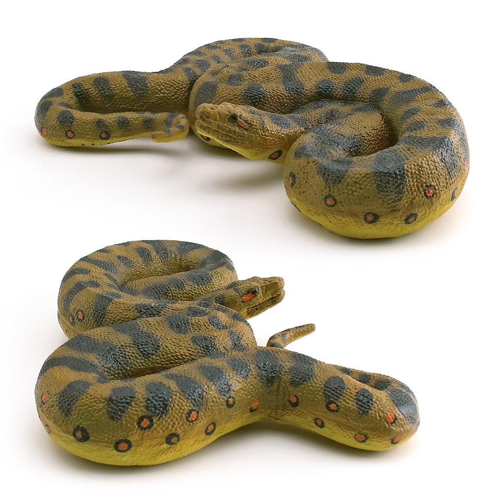 Simulation Pvc Reptile Corallus Enydris Model For Kids Play And Classroom Decor