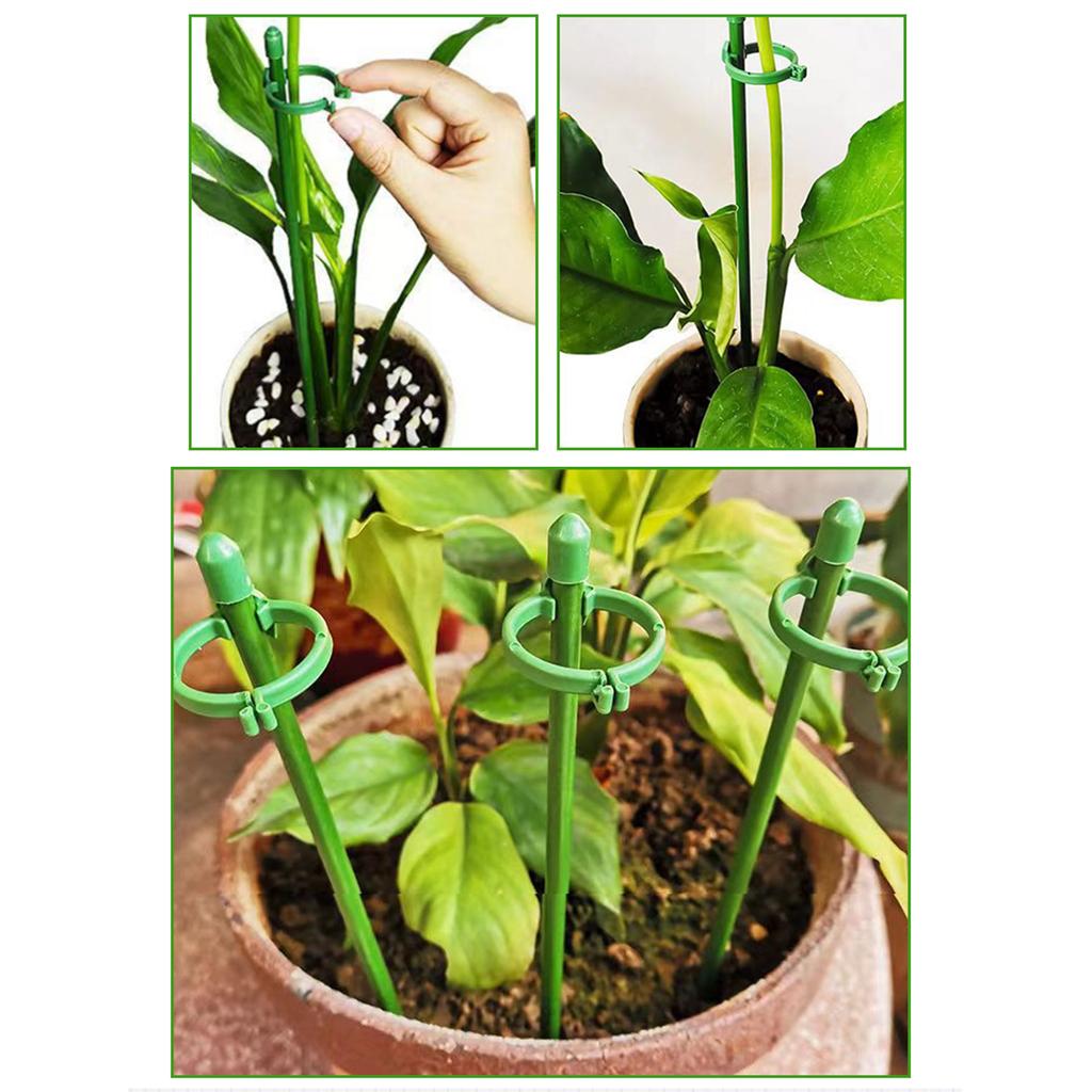 Plant Support Stakes Adjustable Plastic Plant Cage Garden Plant Stakes Plant